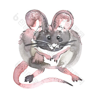 <strong>鼠标</strong>水彩画插图有趣的图标动物灰色老鼠与粉红色的耳朵孤立的白色背景新一年绘画象征画艺术对象为设计<strong>鼠标</strong>水彩画插图有趣的图标动物灰色老鼠与粉红色的耳朵孤立的白色背景新一年绘画象征画艺术对象为设计