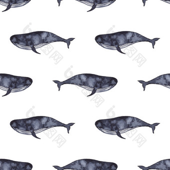 鲸鱼靛蓝颜色绘画水彩艺术画海鱼蓝色的颜色海洋动物无缝的模式为织物纺织背景装饰孩子插图夏天元素为设计鲸鱼靛蓝颜色绘画水彩艺术画海鱼蓝色的颜色海洋动物无缝的模式为织物纺织背景装饰孩子插图轮廓元素为设计