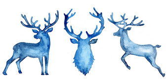 水彩轮廓集鹿跳鹿和头蓝色的颜色动物绘画阉割过的雄鹿和鹿角圣诞节插图孤立的白色装饰新一年象征打印装饰驯鹿水彩轮廓集鹿跳鹿和头蓝色的颜色动物绘画阉割过的雄鹿和鹿角圣诞节插图孤立的白色装饰新一年象征打印装饰