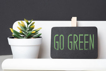 绿色黑板上和绿色植物白色能表格和黑暗灰色墙办公室deskeco办公室