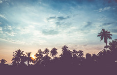 古董过滤器轮廓景观椰子树热带日落场景泰国