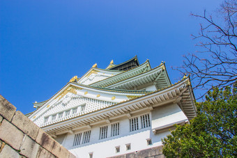 大阪日本3月大阪城堡在樱花开花时间是会布鲁姆日本