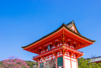 《京都议定书》日本3月旅游清水寺寺庙在樱桃樱花开花时间是会布鲁姆《京都议定书》日本