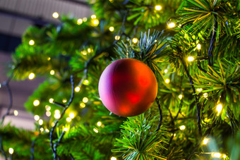 饰品和灯圣诞节树俗丽的和玩具球和其他装饰的圣诞节