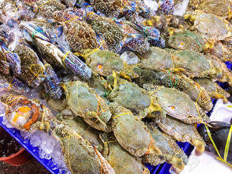 新鲜的梭子蟹属远洋杉托盘和容器与冰蟹市场和受<strong>欢迎</strong>的旅游为选择买海鲜
