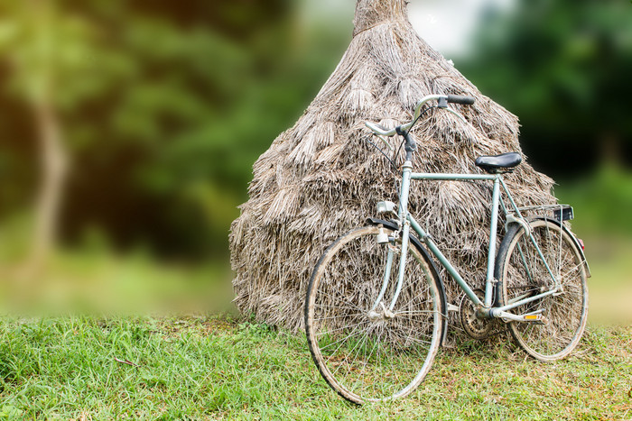 古董自行车精益的大米稻草绿色背景