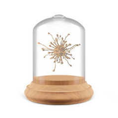 病毒玻璃圆顶与木托盘白色背景检疫的病毒概念渲染
