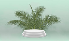 白色产品显示讲台上与椰子叶子油缸基座绿色背景向量插图