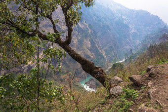 美丽的山风景与树的前景<strong>喜马拉雅</strong>山脉尼泊尔