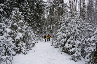 小集团游客的冬天森林多云的一天