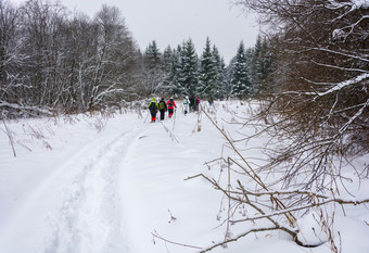 小集团<strong>游客</strong>去通过白雪覆盖的冬天<strong>森林</strong>多云的一天