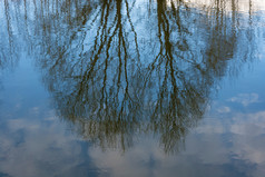 美丽的摘要反射树的蓝色的镜子表面的河