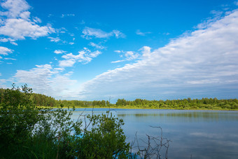 小湖的草木丛生的海岸和美丽的多云的天空俄罗斯