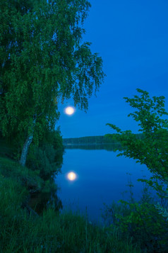 大月亮反映了的蓝色的表面的水在的绿色叶子树和灌木