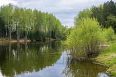 美丽的水景观反映了的水桦木树春天一天