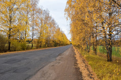 废弃的沥青路在黄色的树多云的秋天一天俄罗斯