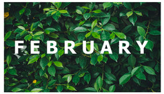 列表日历个月设计自然绿色叶背景