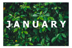 列表日历个月设计自然绿色叶背景