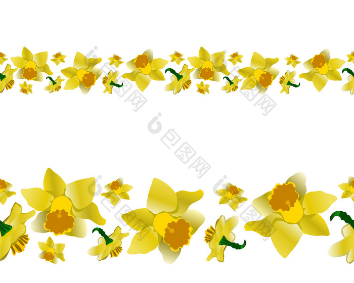 春天黄色的水仙花没完没了的横幅花主题重复边境孤立的白色背景向量插图春天黄色的水仙花没完没了的横幅