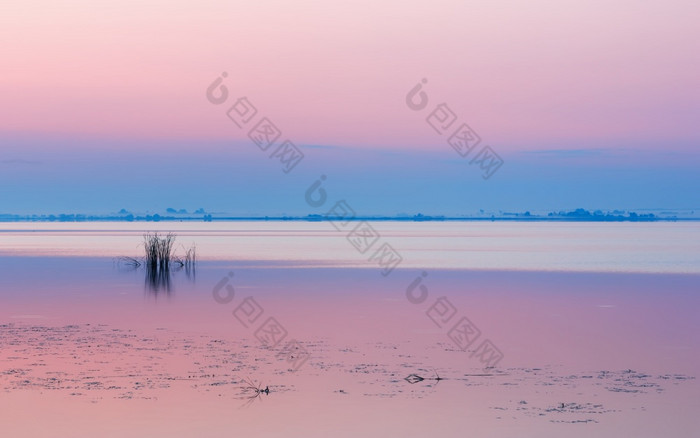 安静的轻轻粉红色的淡紫色黎明的湖清晰的天空在平静水表面和有雾的蓝色的地平线宁静的湖岸背景与复制空间俄罗斯湖黑色
