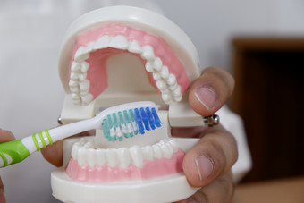 牙医使用牙刷牙齿模型牙科办公室专业牙科诊所牙科和医疗概念