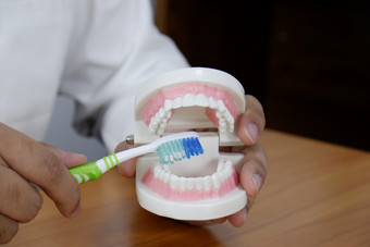 牙医使用牙刷牙齿模型牙科办公室专业牙科诊所牙科和医疗概念