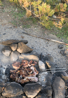 肉烤的森林壁炉