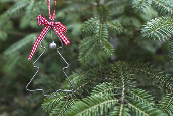 圣诞节树形状真正的松树圣诞节树微型形状分支