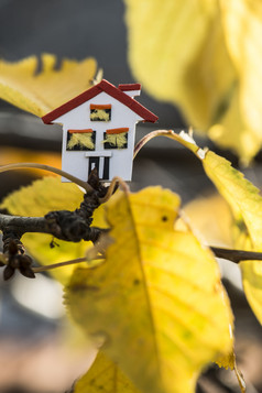 房子模型和秋天叶子纸房子