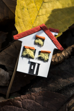 房子模型和秋天叶子纸房子