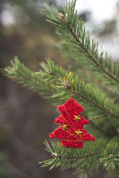 红色的圣诞节树分支的森林