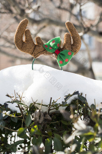 圣诞节鹿角的雪圣诞节鹿角