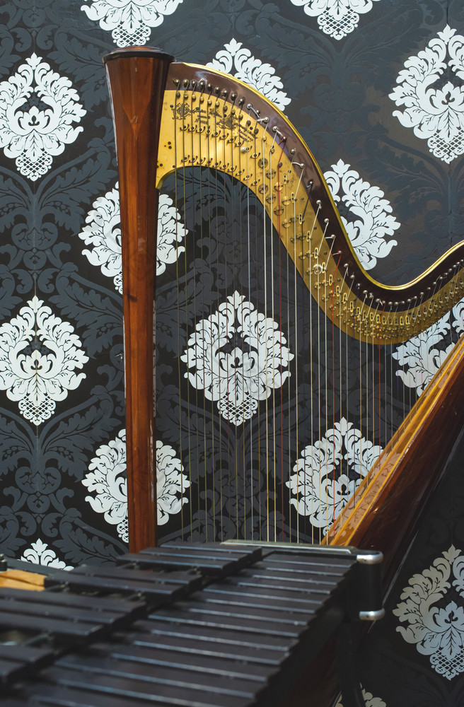 竖琴和音乐的仪器黑暗维多利亚时代风格背景经典音乐和艺术概念