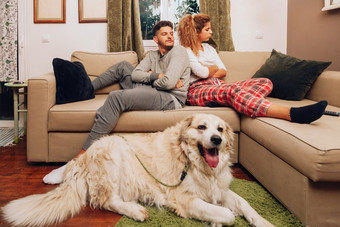 年轻的愤怒的夫妇分离沙发一点点他们的狗使用智能手机
