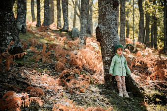 小女孩穿羊毛帽秋天森林在蕨类植物小女孩秋天森林在蕨类植物