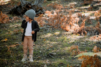 小女孩穿羊毛帽秋天森林在蕨类植物戏剧与植物小女孩秋天森林在蕨类植物