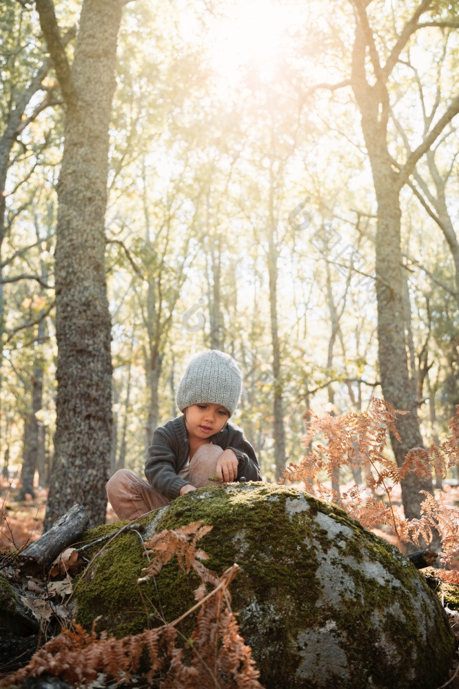 小高加索人婴儿女孩蹲穿羊毛帽秋天森林在蕨类植物戏剧与植物小女孩秋天森林在蕨类植物