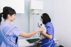 兽医与猫的x射线房间