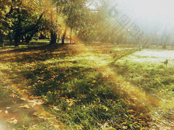 阳光明媚的一天秋天公园