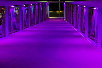 现代城市体系结构桥与紫色的霓虹灯灯Scheveningen)的荷兰城市城市景观风景