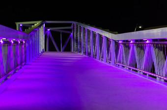 美丽的城市桥与紫色的和蓝色的灯现代城市体系结构Scheveningen)的荷兰城市城市风景