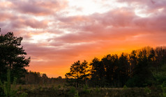 生动的日落高沼地景观日落给色彩斑斓的效果的天空和云