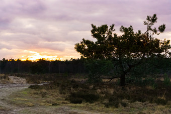 日落希瑟景<strong>观色</strong>彩斑斓的颜<strong>色</strong>的天空和云