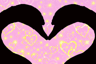 情人节一天概念轮廓两个天鹅头形成心形状在一起孤立的粉红色的背景与金闪闪发光的心