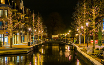 运河桥的中心阿尔芬向那莱茵河的荷兰装饰树与灯荷兰城市体系结构
