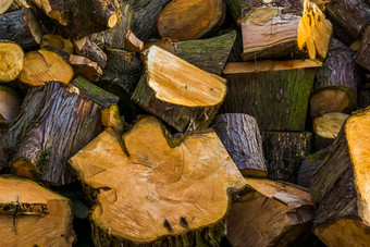 模式减少木日志自然木背景桩木制的木