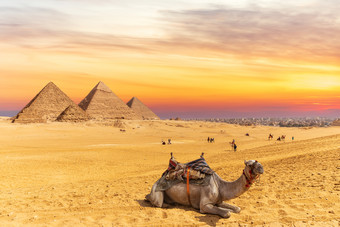 颜色日落附近的金字塔吉萨和骆驼埃及颜色日落附近的金字塔吉萨和骆驼埃及