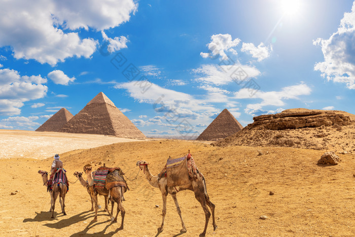 的金字塔和骆驼与贝都因人吉萨沙漠埃及的金字塔和骆驼与贝都因人吉萨沙漠埃及