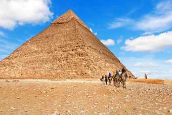 字符串骆驼附近的金字塔chephren埃及字符串骆驼附近的金字塔chephren埃及