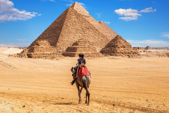 埃及人骆驼附近的复杂的吉萨金字塔埃及埃及人骆驼附近的复杂的吉萨金字塔埃及